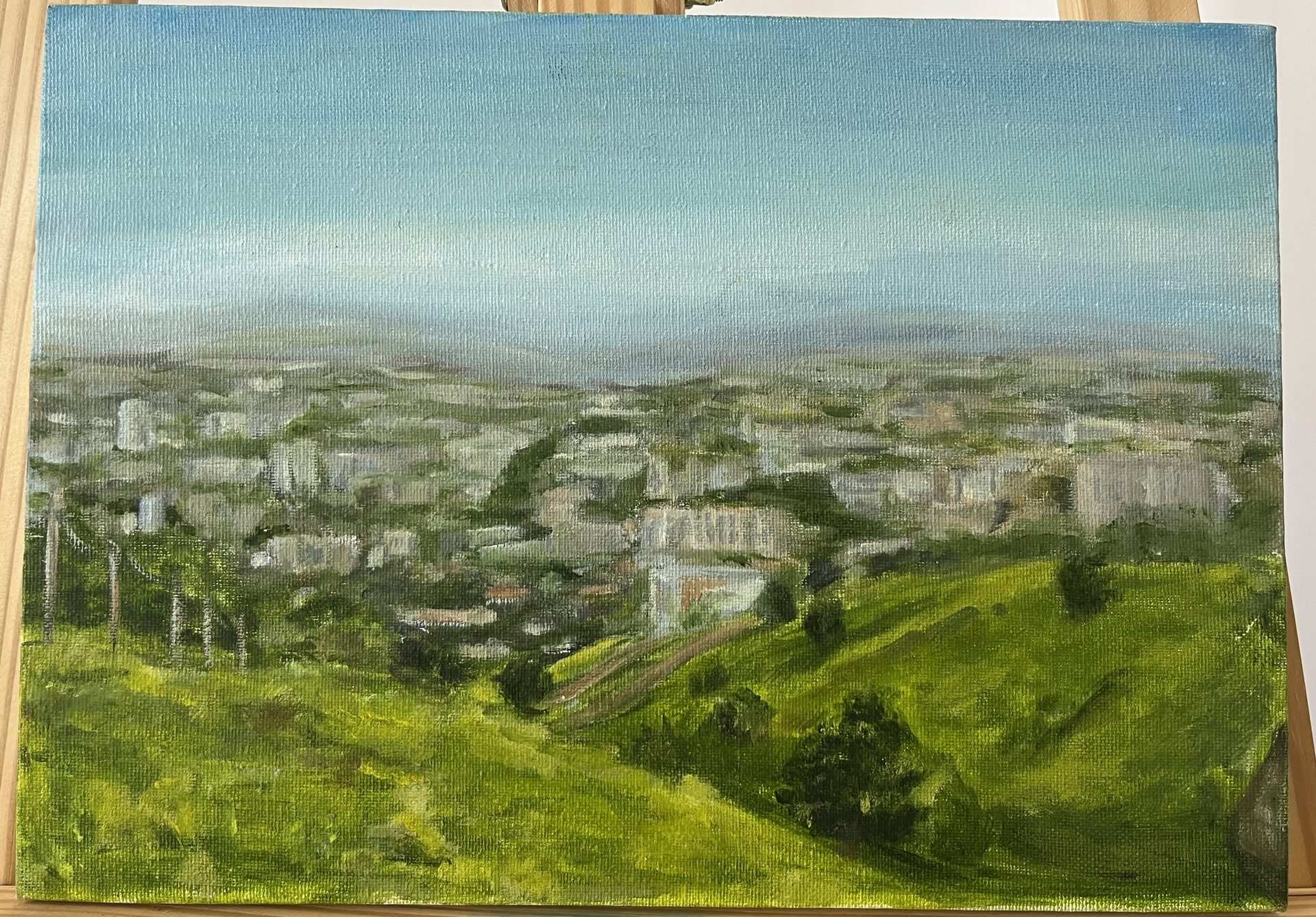 Қала панорамасы
