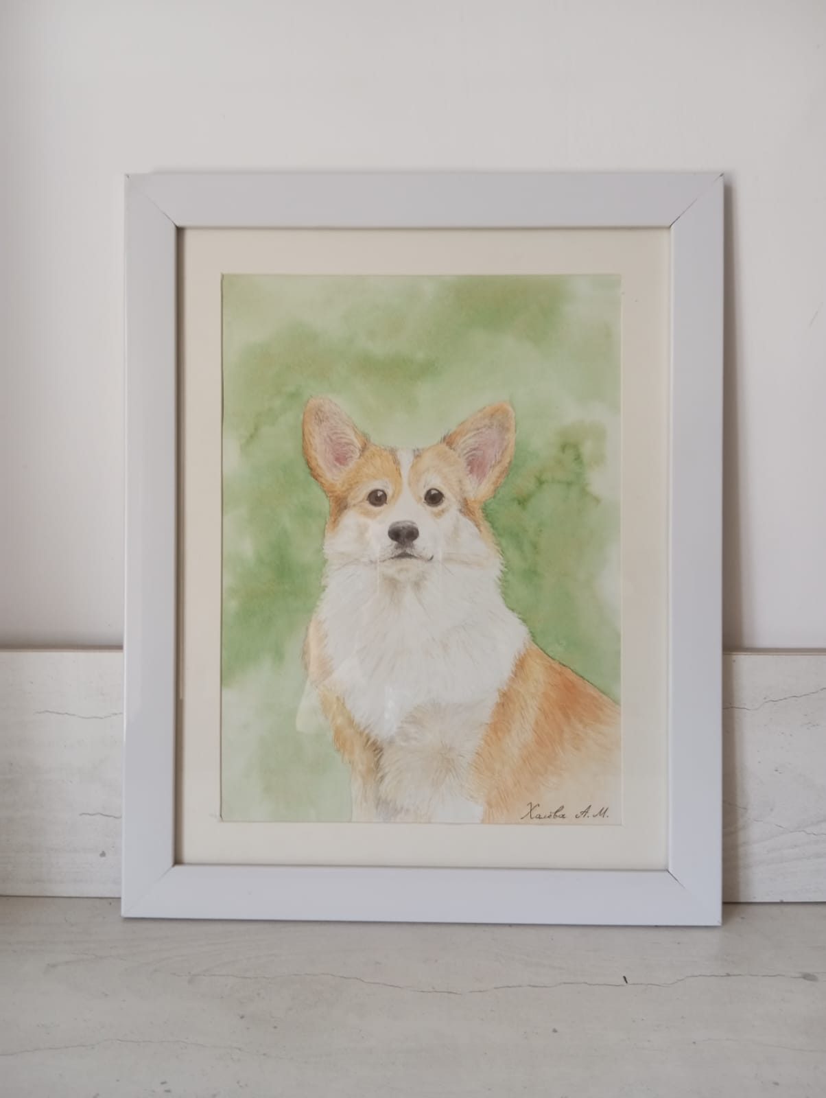 Корги