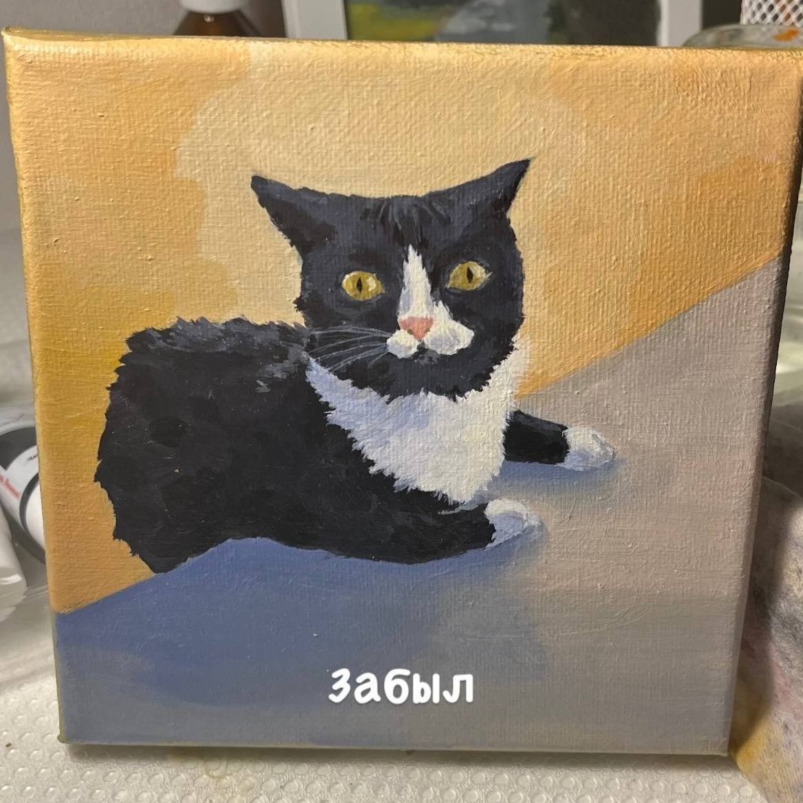 КОТ из мема Забыл