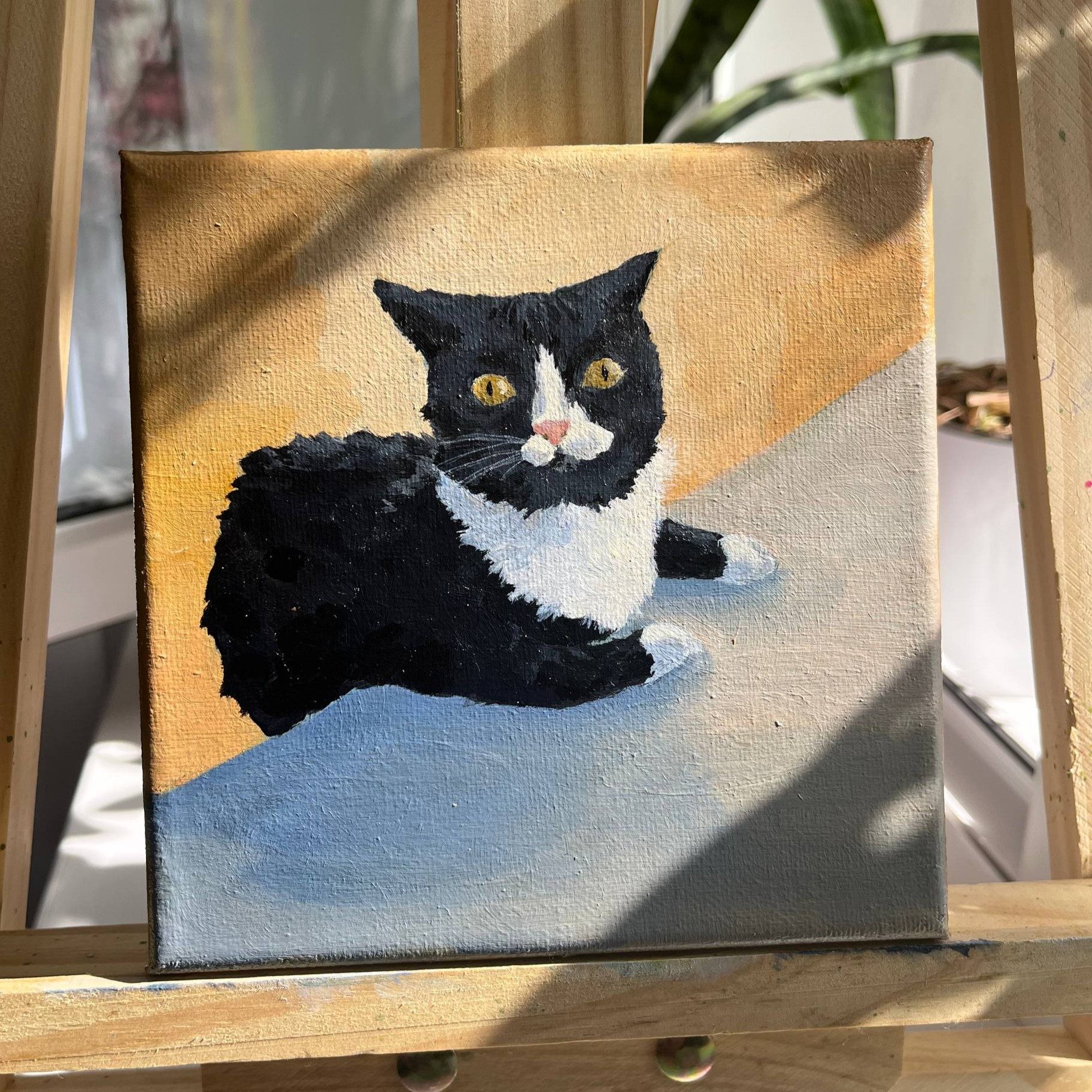 КОТ из мема Забыл