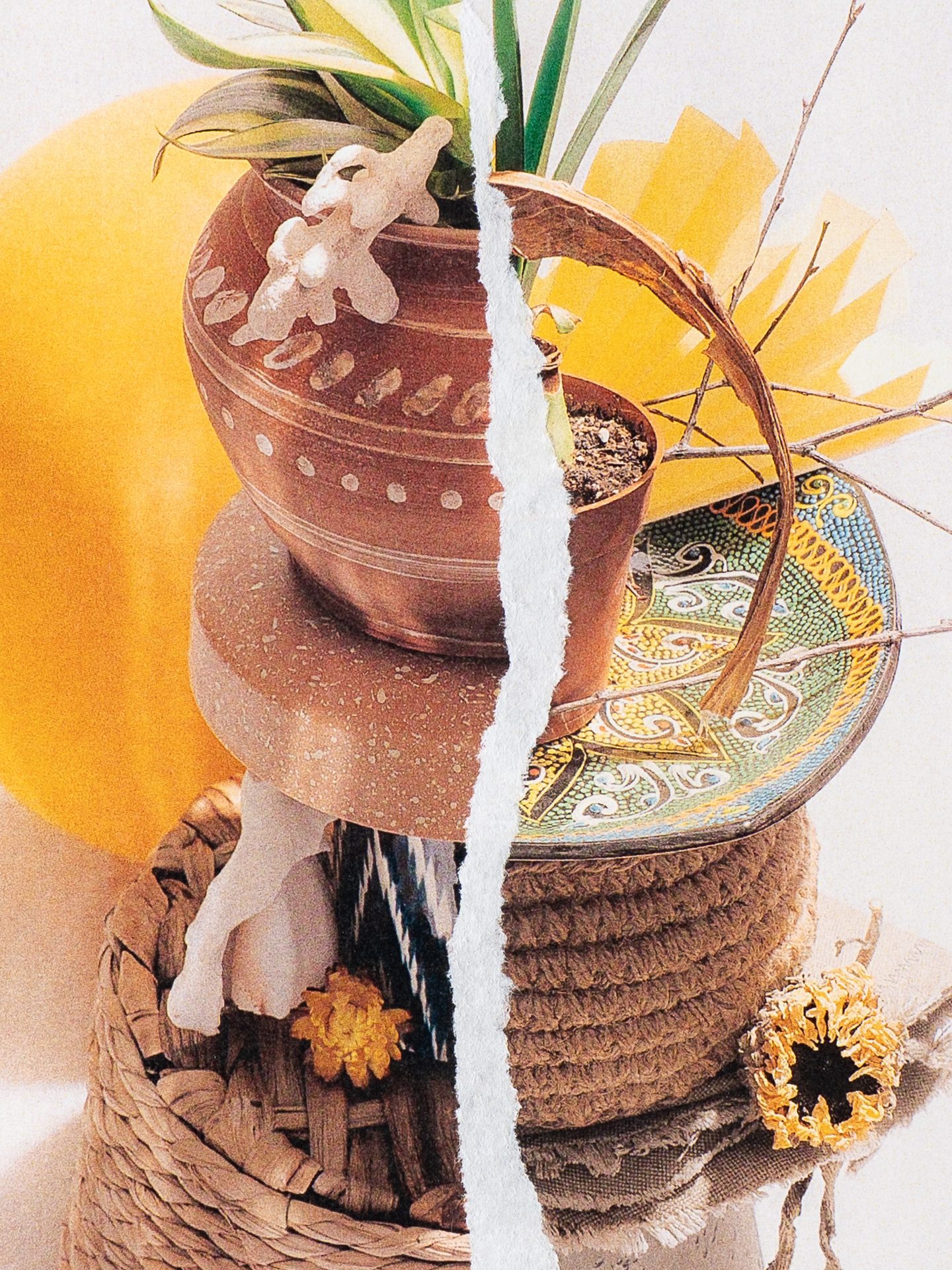 без корней / 1