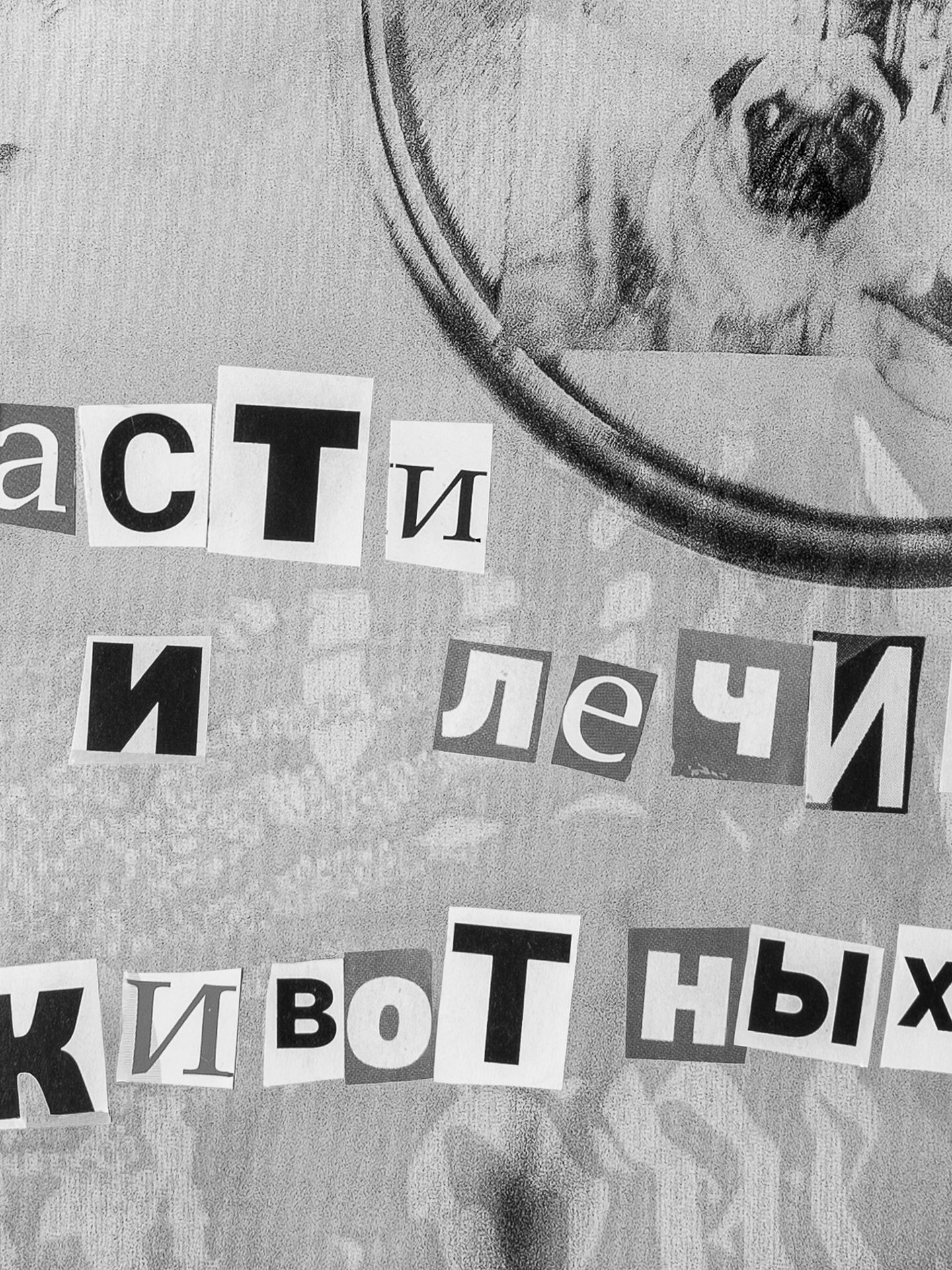 девочковые сны о тайничках из прошлого / 3